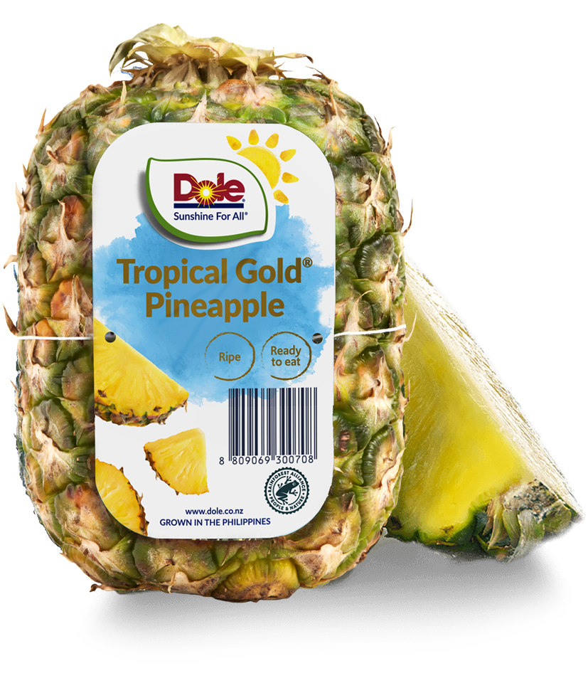 Gold Pineapple Tropical Summer Dog Collar - waaagPet